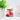 Labubu – crazy ride coca-cola series